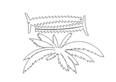 线切割椰树,线切割图纸免费下载